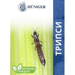 Hüniger® Натурална пудра за унищожаване на трипси - 55 гр.