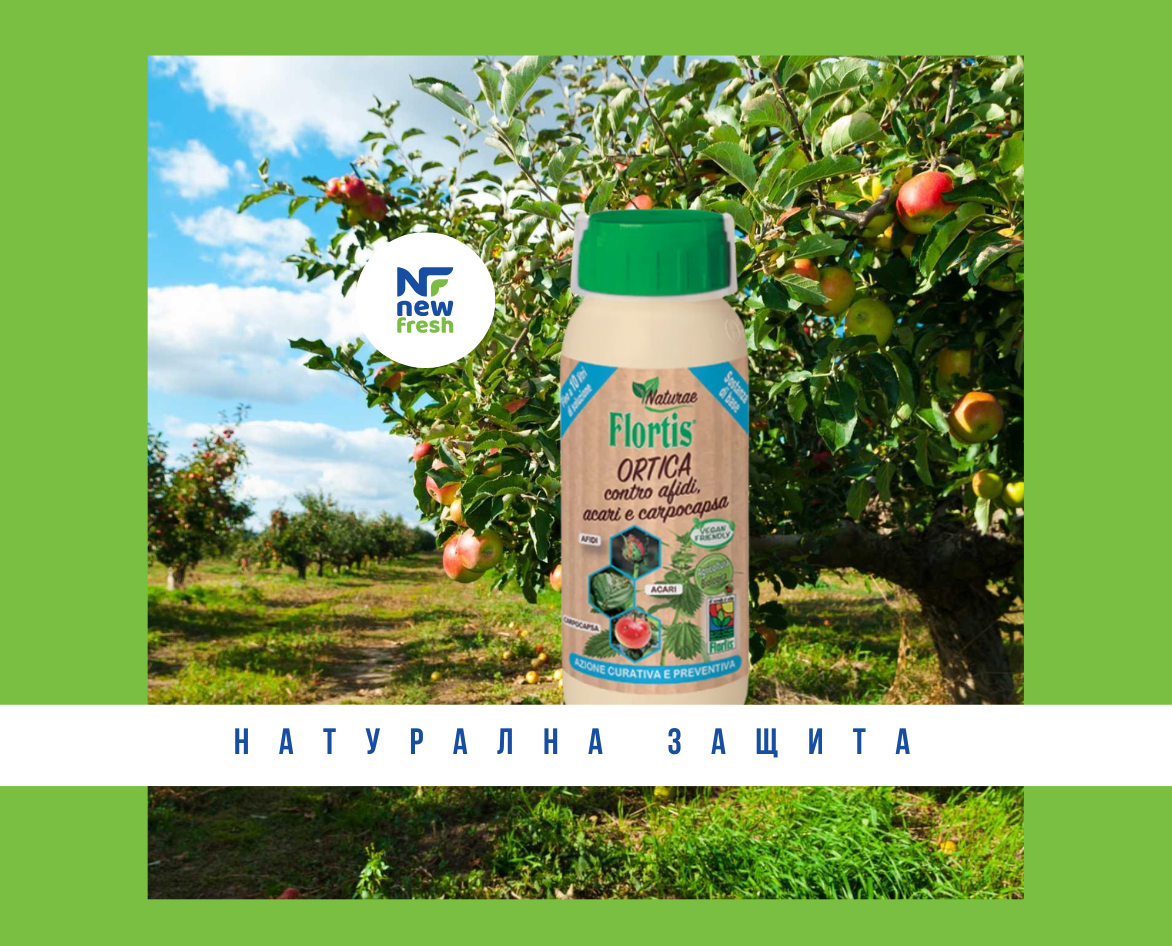 Listni vashki po ovishnite darveta razpoznavane shteti borba 4